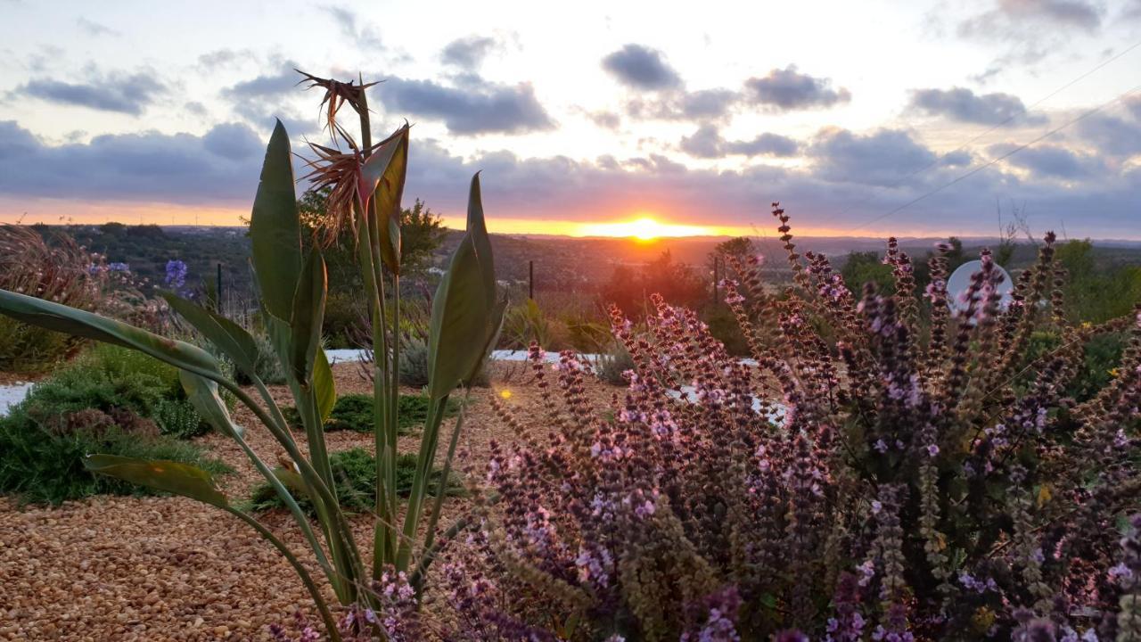 The Sun Hill Bed & Breakfast Lagos Eksteriør bilde